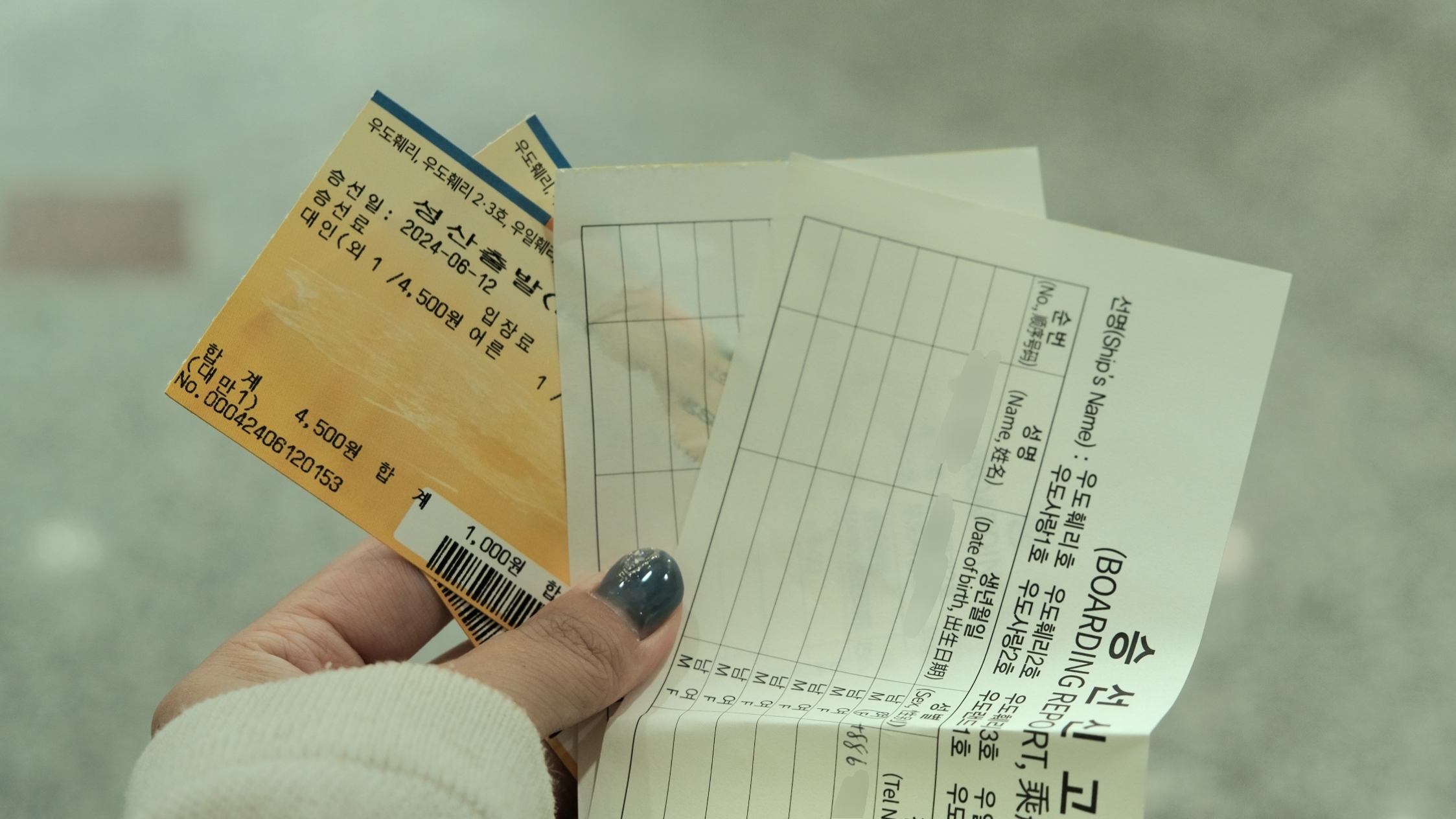 濟州島前往牛島 買船票 填寫申請書