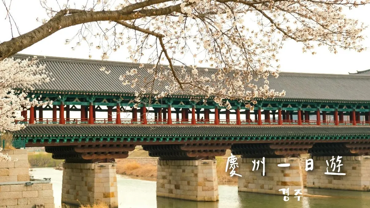 慶州一日遊，包含我去的7個慶州景點、詳細行程規劃、交通及景點地圖下載。跟著我這樣玩！