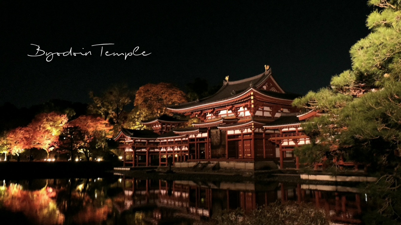 京都宇治平等院夜間參拜