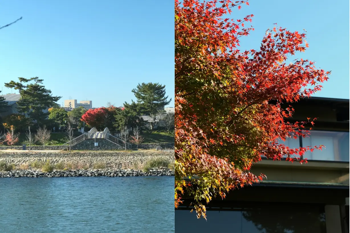 【宇治橋】日本三大古橋之一,附近逛街路線推薦! - 第11張圖 宇治橋周邊步行路線街景