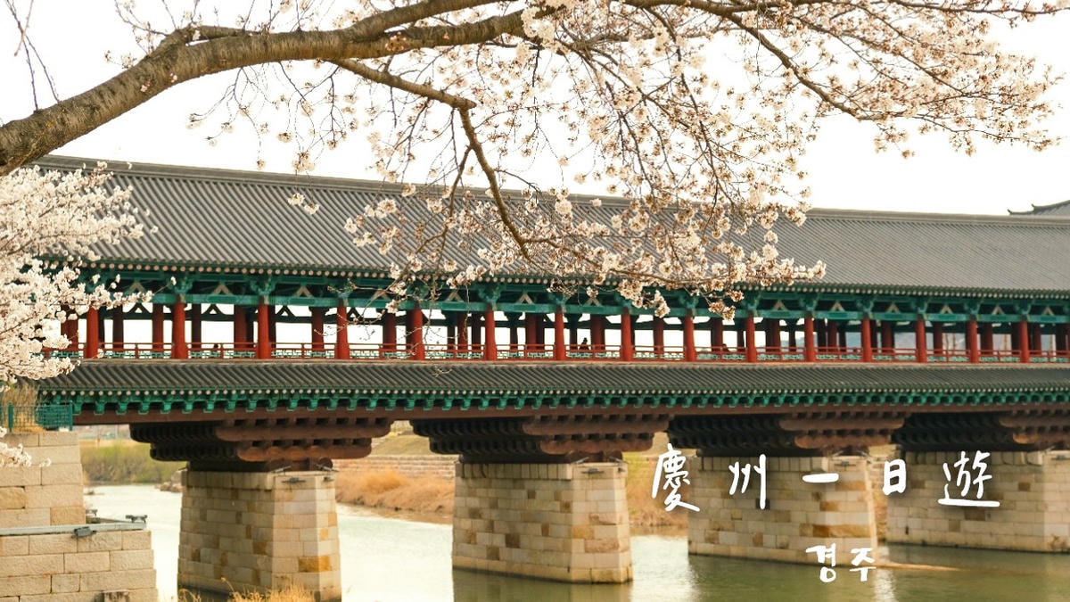 【釜山天氣攻略】天氣預報naver/四季穿著/雨備行程/適合的旅遊季節懶人包! - 第19張圖