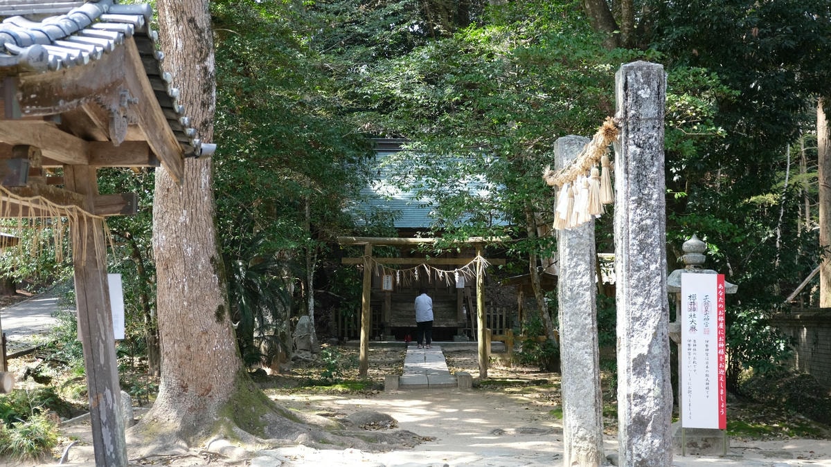 【福岡獨旅】2025福岡一個人自由行行程分享,住宿怎麼選? - 第17張圖 福岡獨旅 櫻井神社