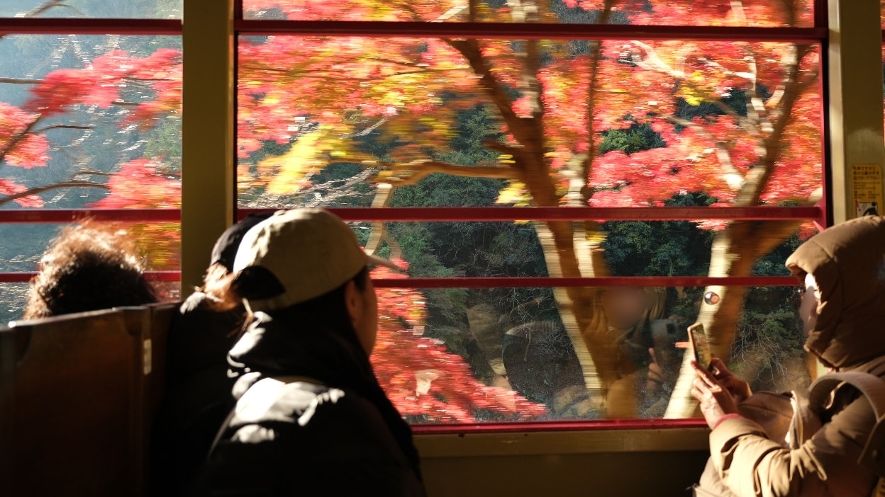 【京都嵐山賞楓】天龍寺4個點拍紅楓、避開人潮時間建議,京都世界遺產賞楓勝地! - 第24張圖