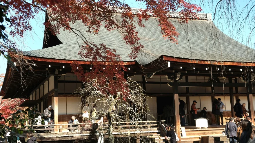 【京都嵐山賞楓】天龍寺4個點拍紅楓、避開人潮時間建議,京都世界遺產賞楓勝地! - 第7張圖 嵐山天龍寺:4個賞楓看點整理!方丈室