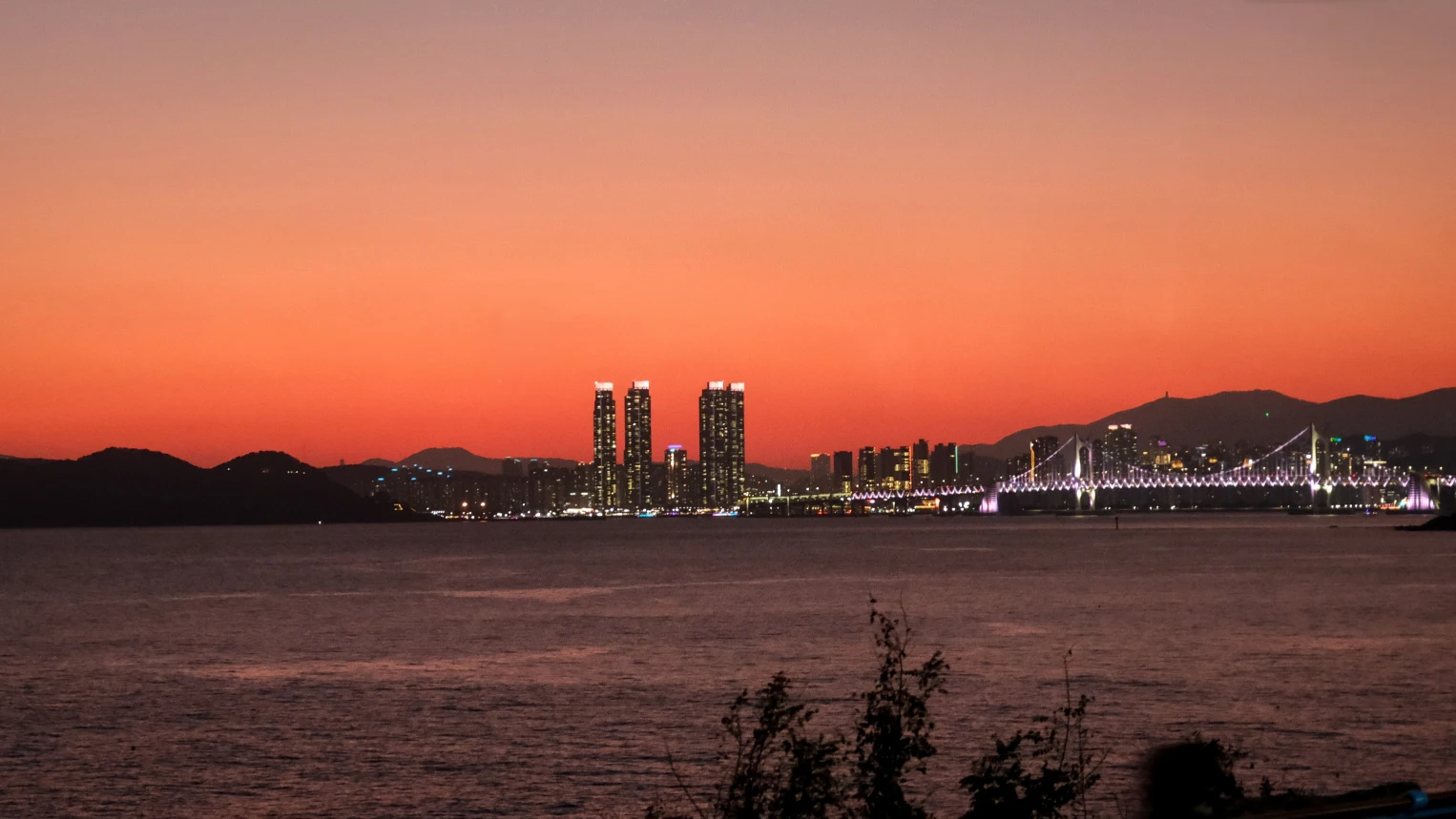 青沙浦怎麼玩?青沙浦必做的7件事!景點地圖、交通、美食攻略 - 第19張圖 青沙浦怎麼玩?必做的7件事:搭海岸列車