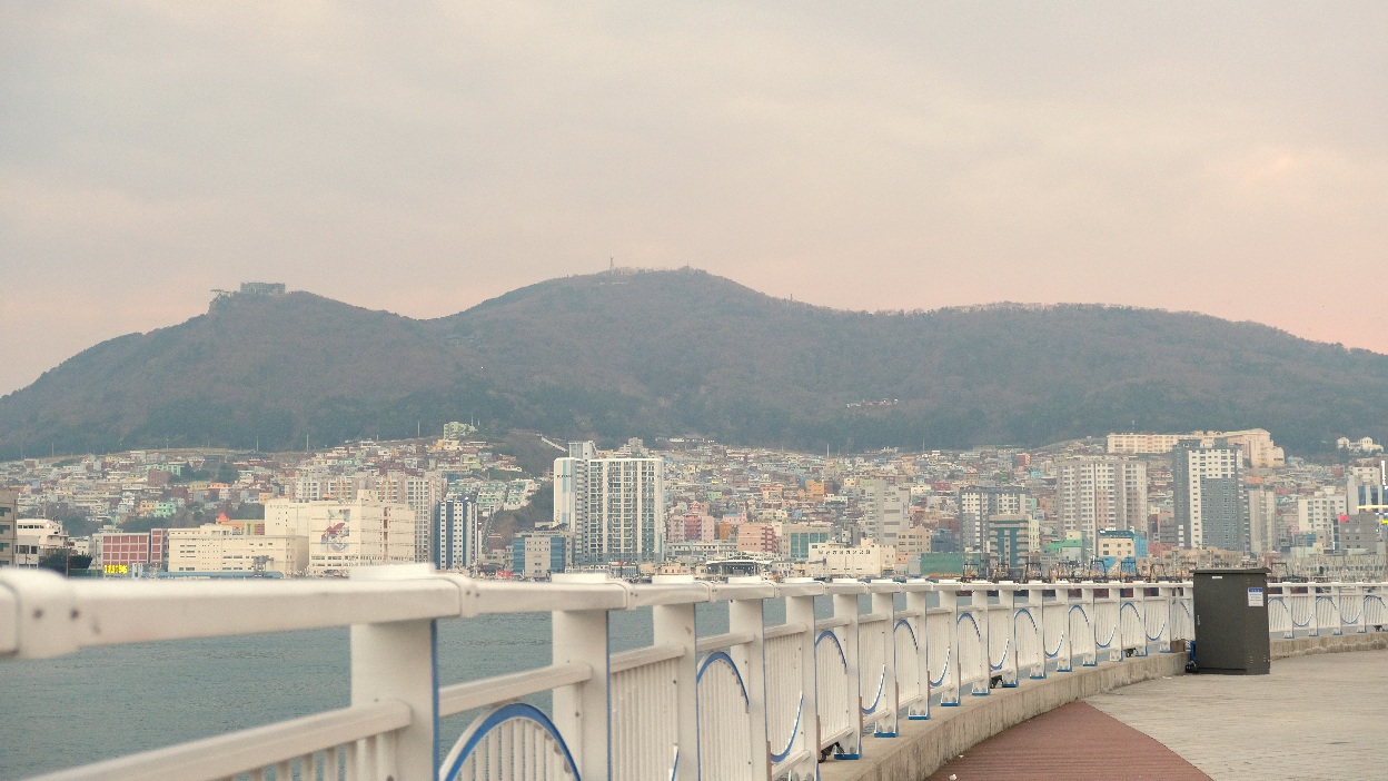 【釜山影島大橋】2025開橋時間.交通.海鷗拍照點建議/星期六看「開橋秀及九隻海鷗」 - 第16張圖