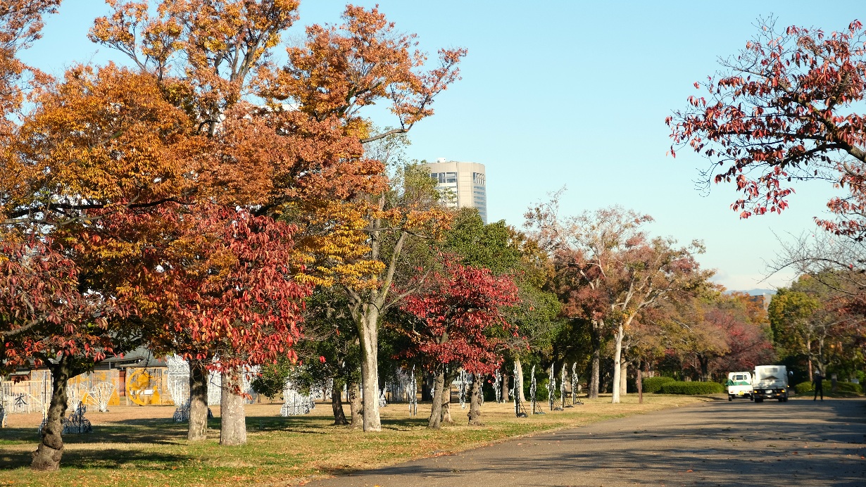 【大阪西之丸庭園】大阪城楓葉季景點/交通/門票攻略/大阪周遊券免費入園,更好拍天守閣的景點! - 第2張圖 西之丸庭園景觀