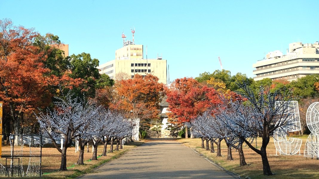 【大阪西之丸庭園】大阪城楓葉季景點/交通/門票攻略/大阪周遊券免費入園,更好拍天守閣的景點! - 第7張圖 西之丸庭園景觀