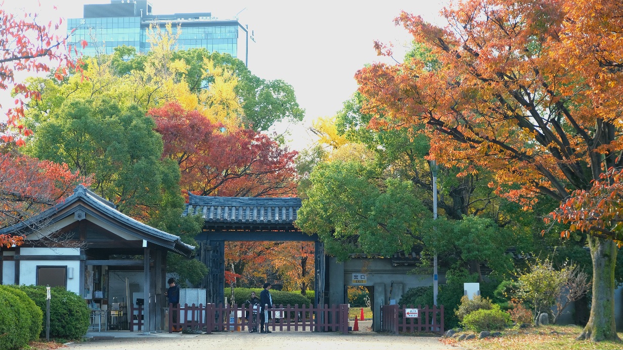 【大阪西之丸庭園】大阪城楓葉季景點/交通/門票攻略/大阪周遊券免費入園,更好拍天守閣的景點! - 第8張圖 西之丸庭園景觀
