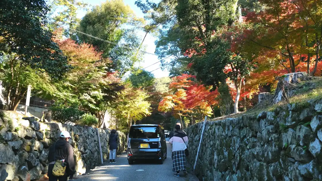 京都宇治佛德山興聖寺：上坡兩旁紅葉