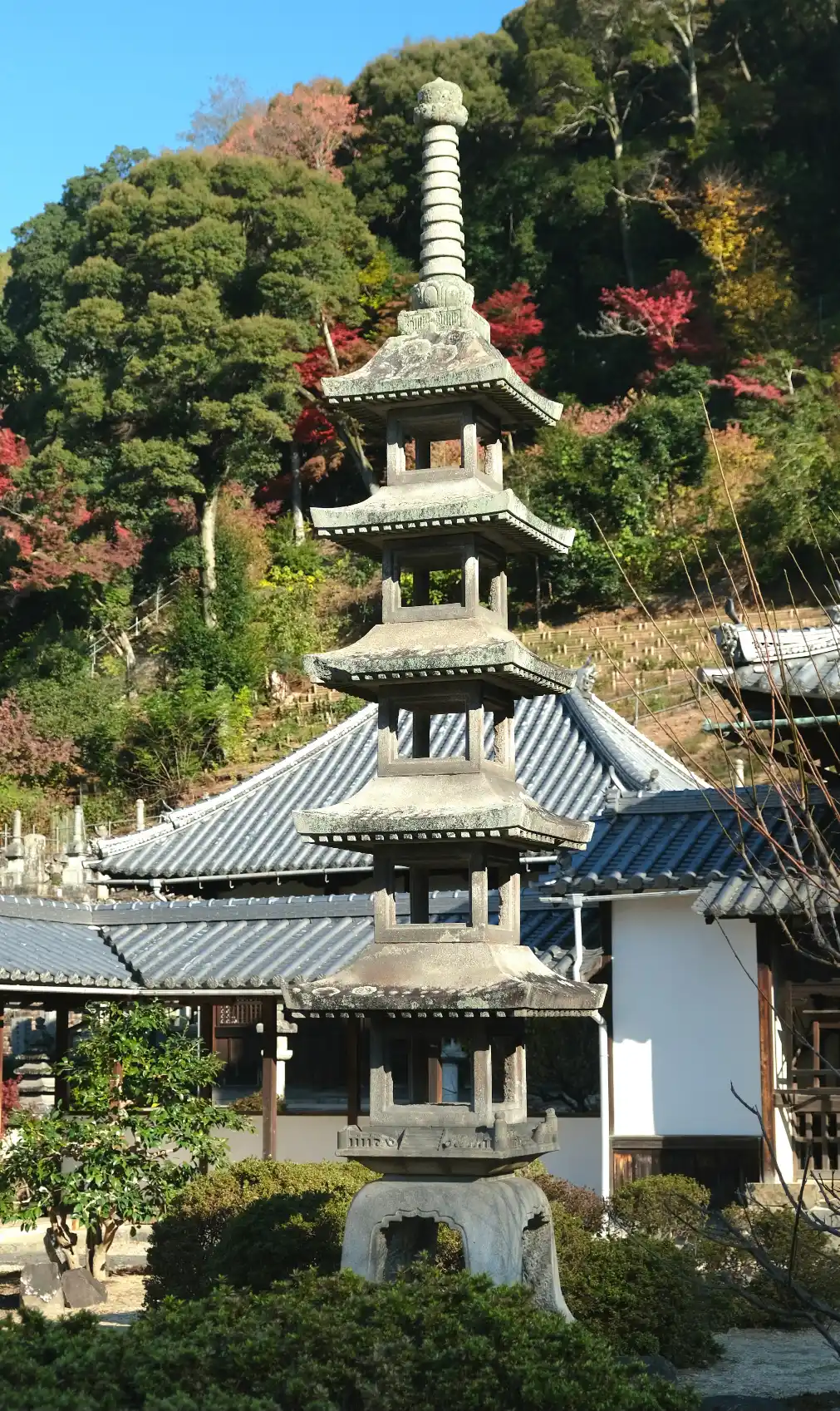 內部庭園