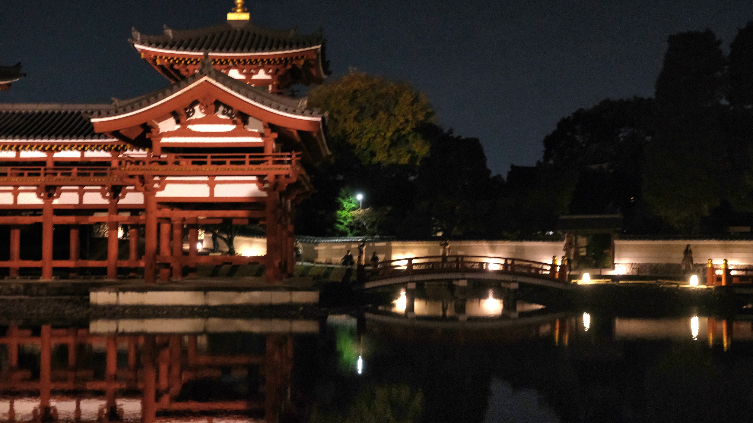 京都宇治平等院夜間參拜 鳳凰堂以及周圍紅葉的景色
