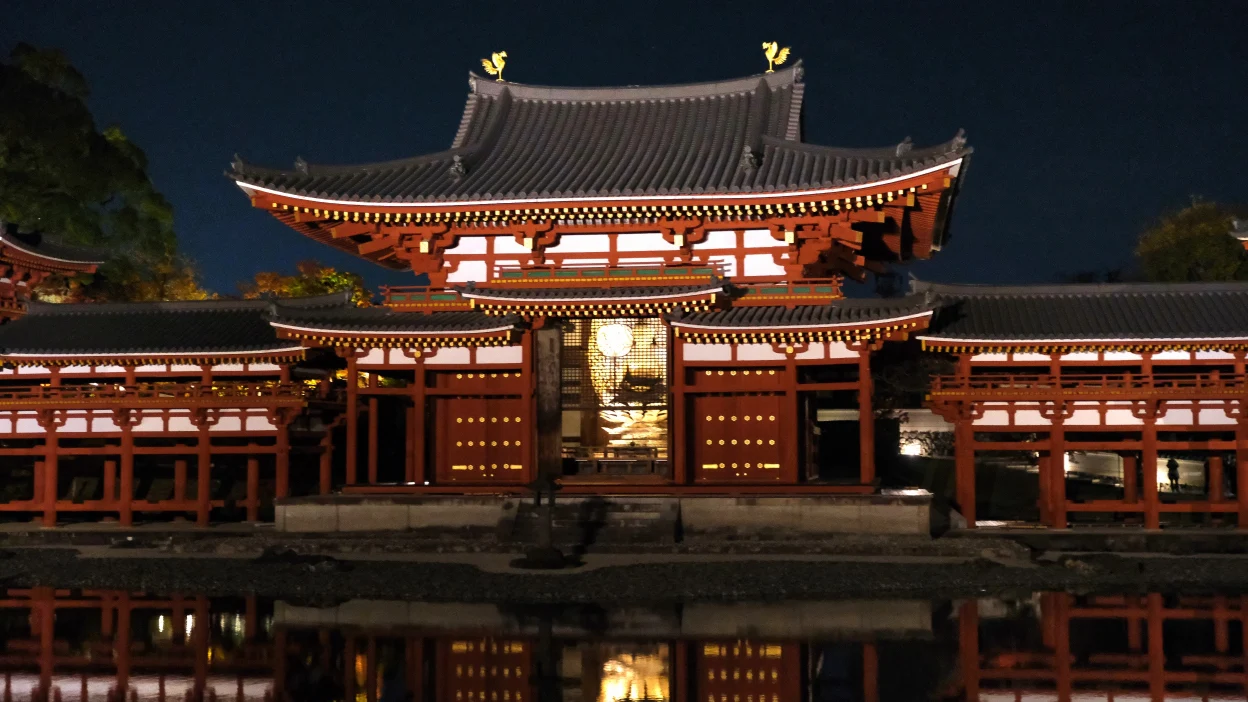 京都宇治平等院夜間參拜 鳳凰堂以及周圍紅葉的景色