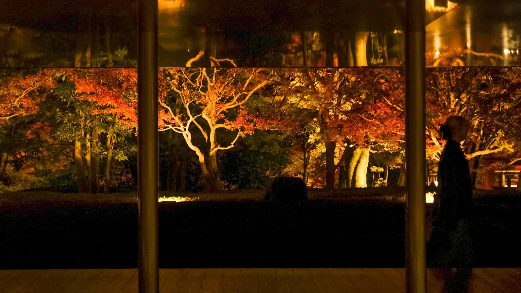 京都宇治平等院夜間參拜 鳳翔館及紅葉景色