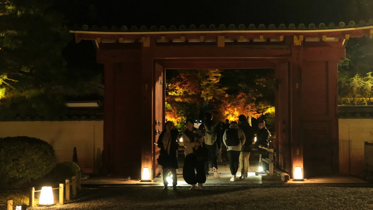 京都宇治平等院夜間參拜
