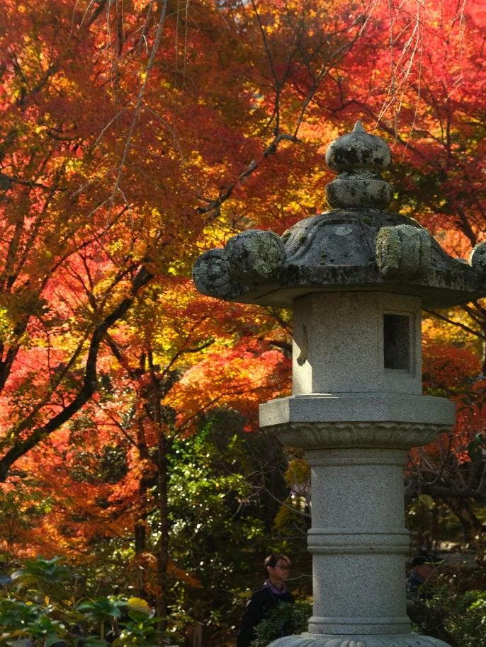 【京都嵐山賞楓】天龍寺4個點拍紅楓、避開人潮時間建議,京都世界遺產賞楓勝地! - 第9張圖 方丈室