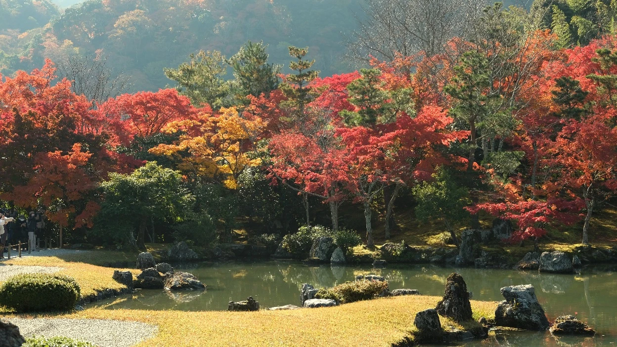 【京都嵐山賞楓】天龍寺4個點拍紅楓、避開人潮時間建議,京都世界遺產賞楓勝地! - 第10張圖 曹源池庭園