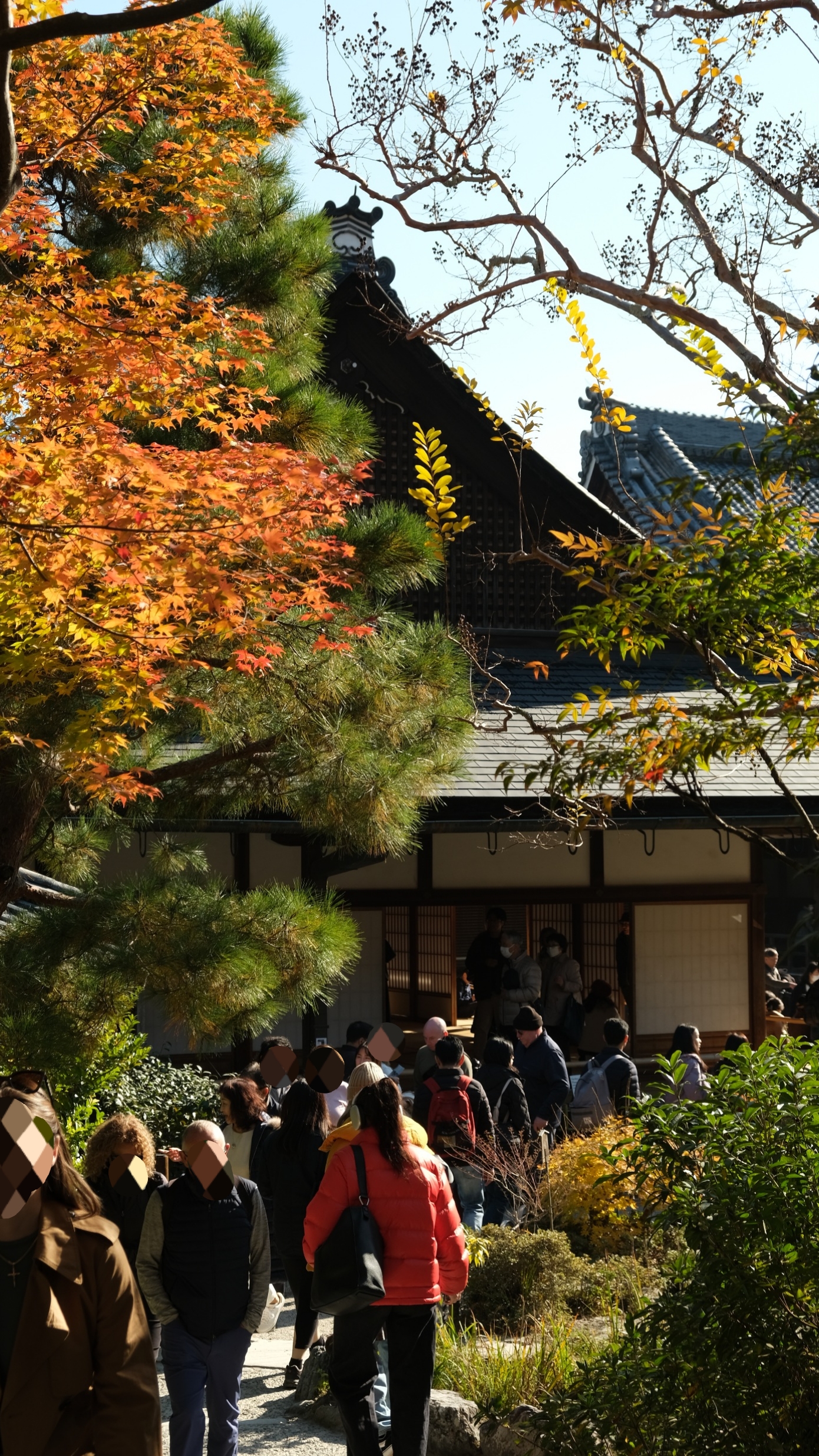 【京都嵐山賞楓】天龍寺4個點拍紅楓、避開人潮時間建議,京都世界遺產賞楓勝地! - 第8張圖 方丈室