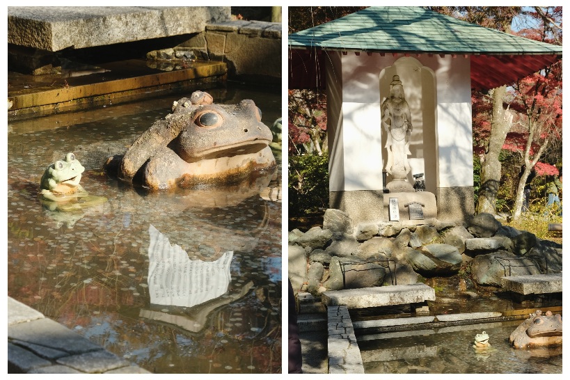 【京都嵐山賞楓】天龍寺4個點拍紅楓、避開人潮時間建議,京都世界遺產賞楓勝地! - 第13張圖