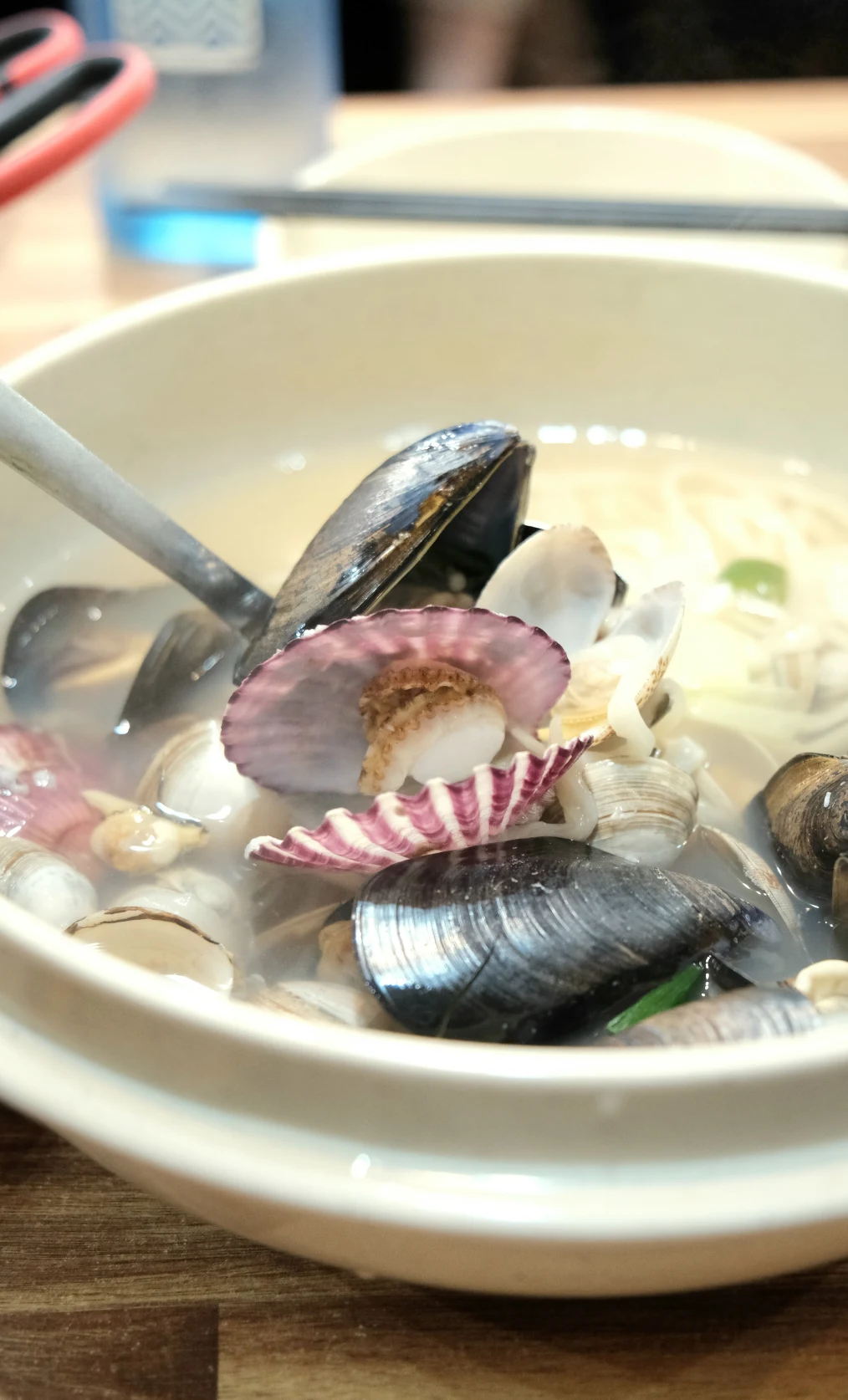 海雲台31公分刀削麵 貝殼類