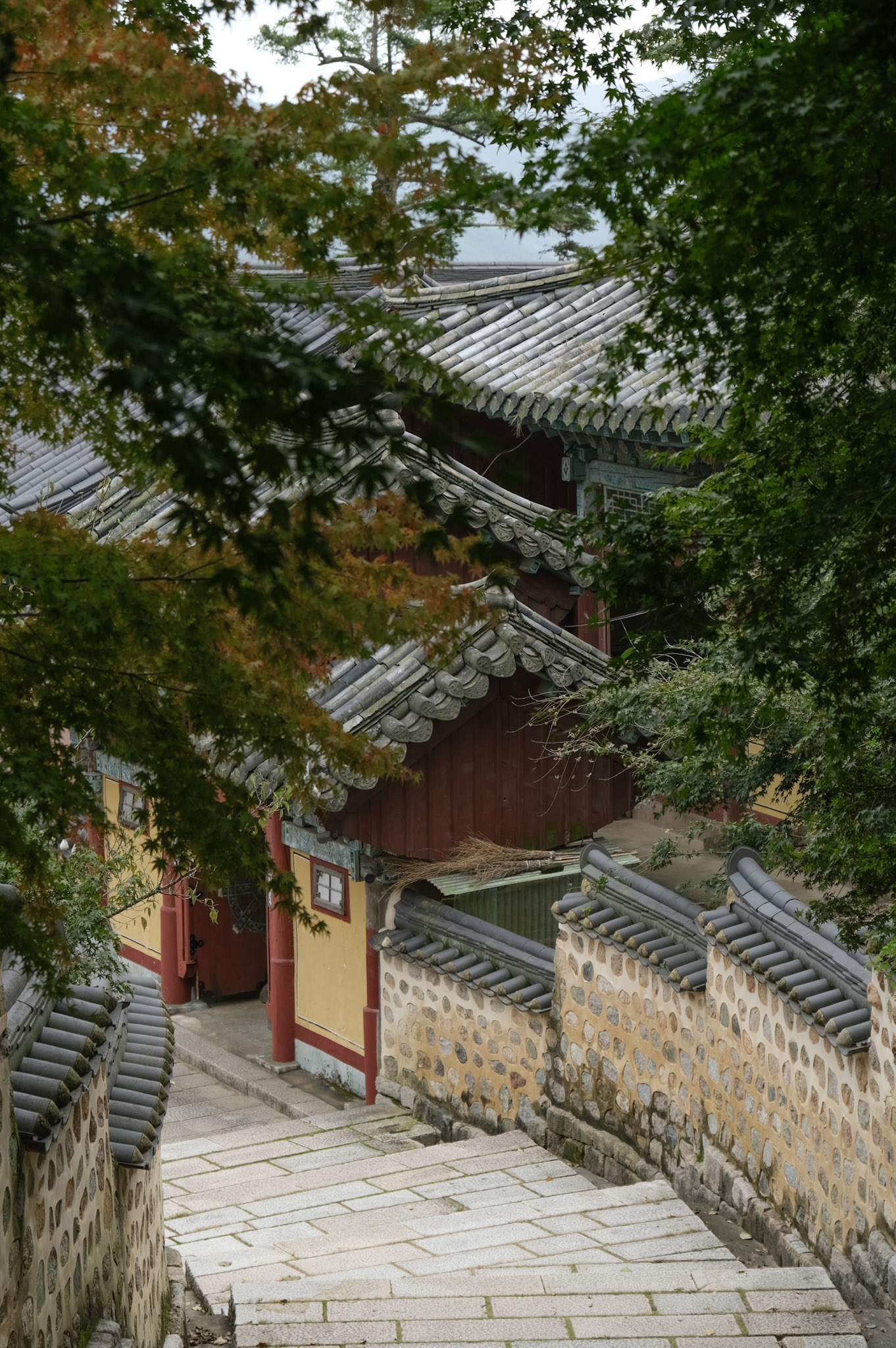 梵魚寺的楓葉拍照處