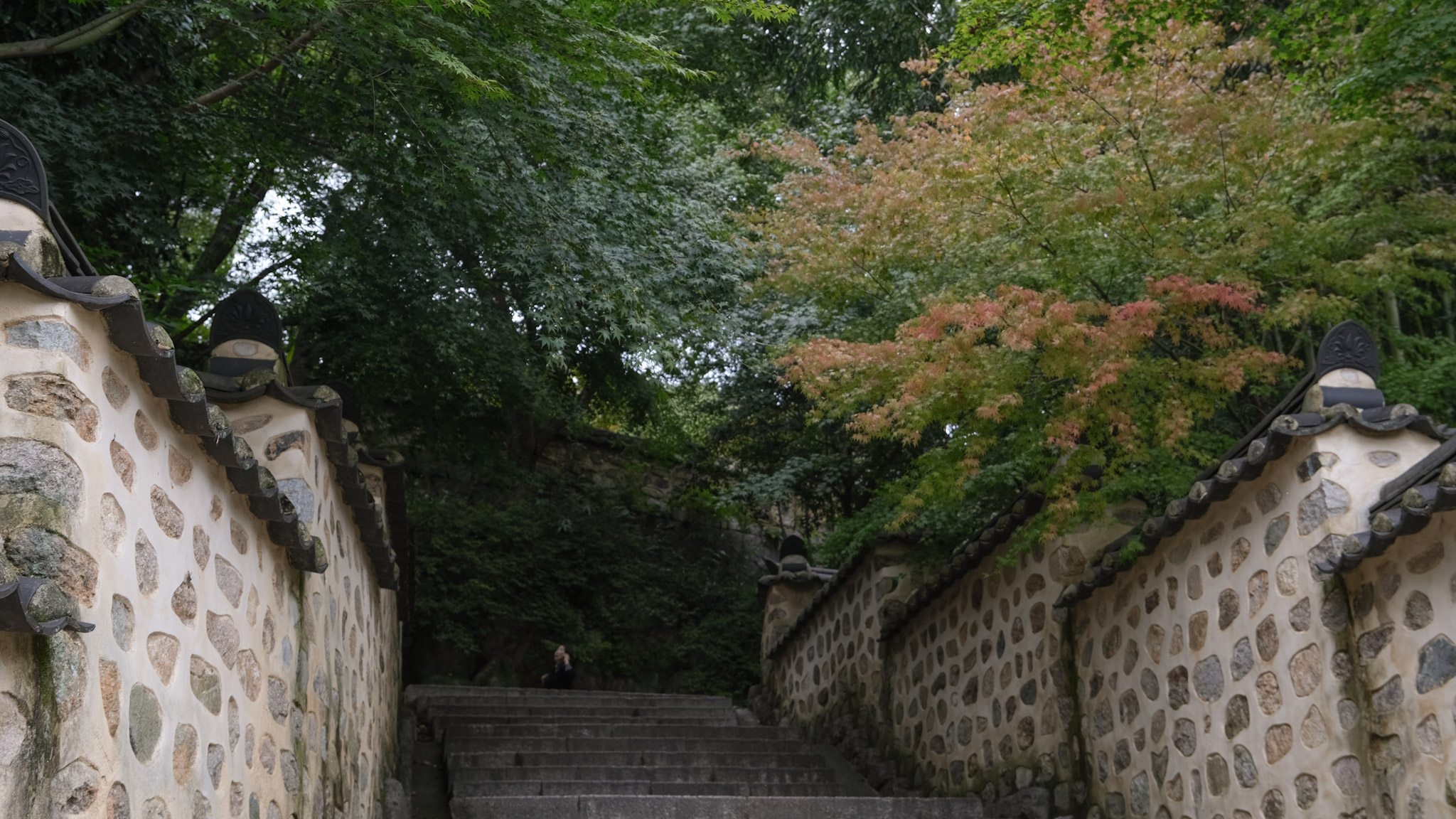 梵魚寺的楓葉拍照處