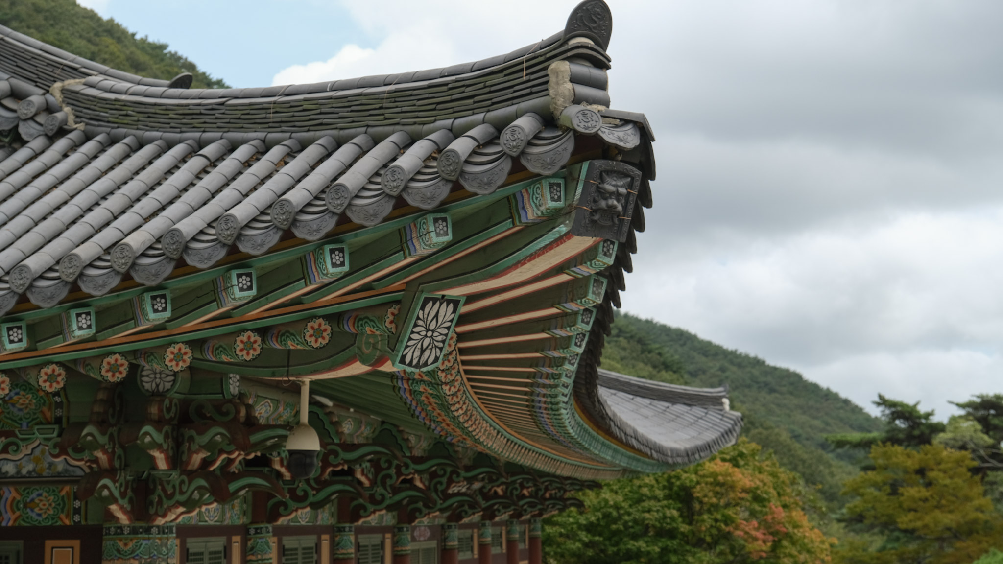 梵魚寺的建築上面的丹青