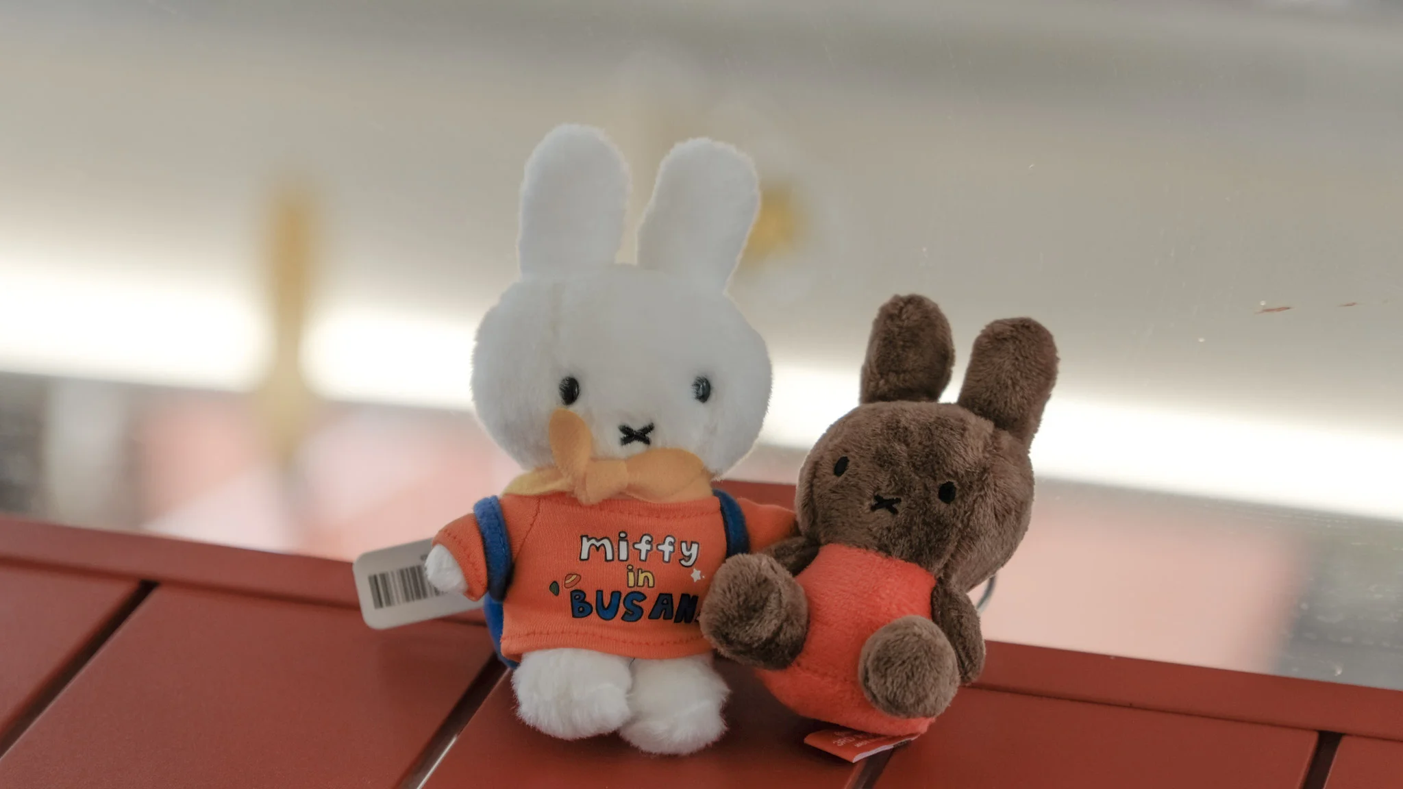 【釜山Miffy Cafe咖啡廳】影島貨櫃屋整棟都是米飛兔。交通+必買紀念品+甜點有什麼? - 第26張圖