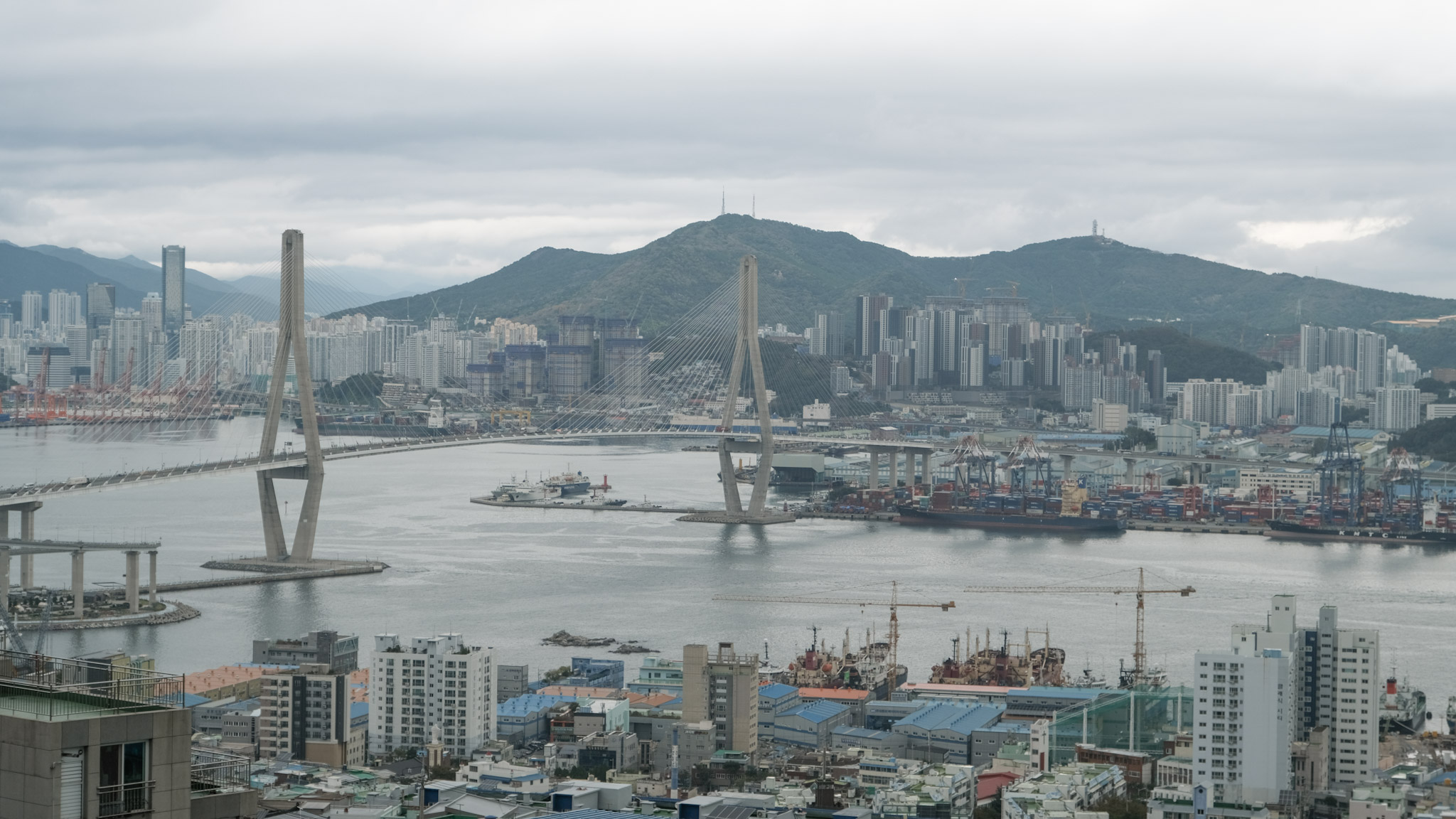 【釜山Miffy Cafe咖啡廳】影島貨櫃屋整棟都是米飛兔。交通+必買紀念品+甜點有什麼? - 第12張圖