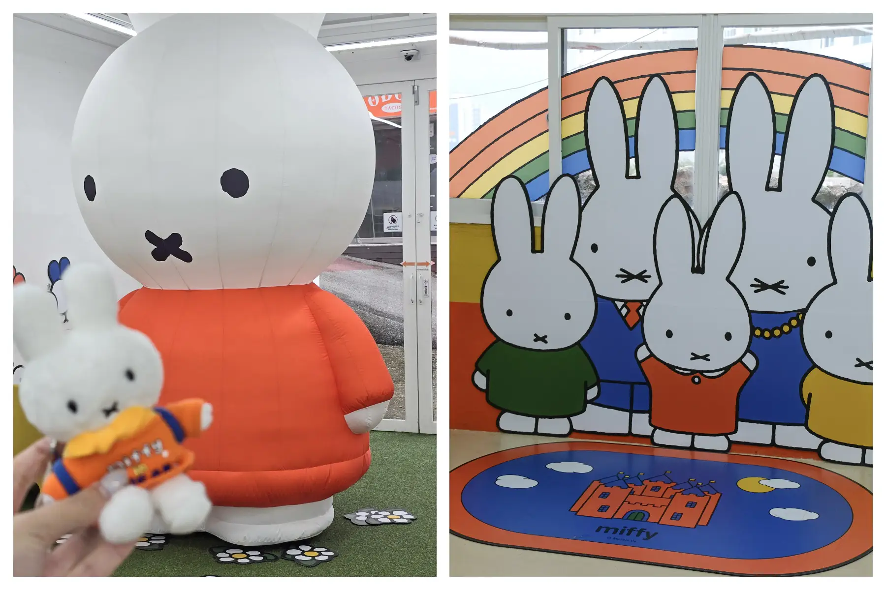 【釜山Miffy Cafe咖啡廳】影島貨櫃屋整棟都是米飛兔。交通+必買紀念品+甜點有什麼? - 第29張圖 釜山米飛拍照打卡點