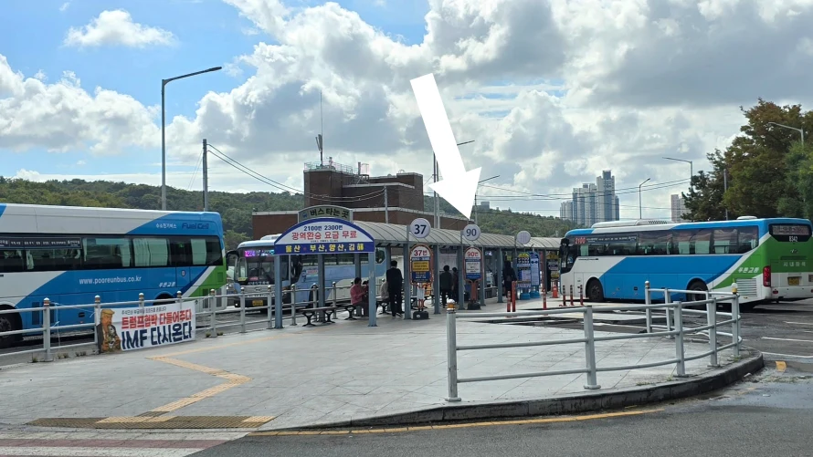 梵魚寺交通方式：搭90號公車就可以上山，老圃站外搭乘