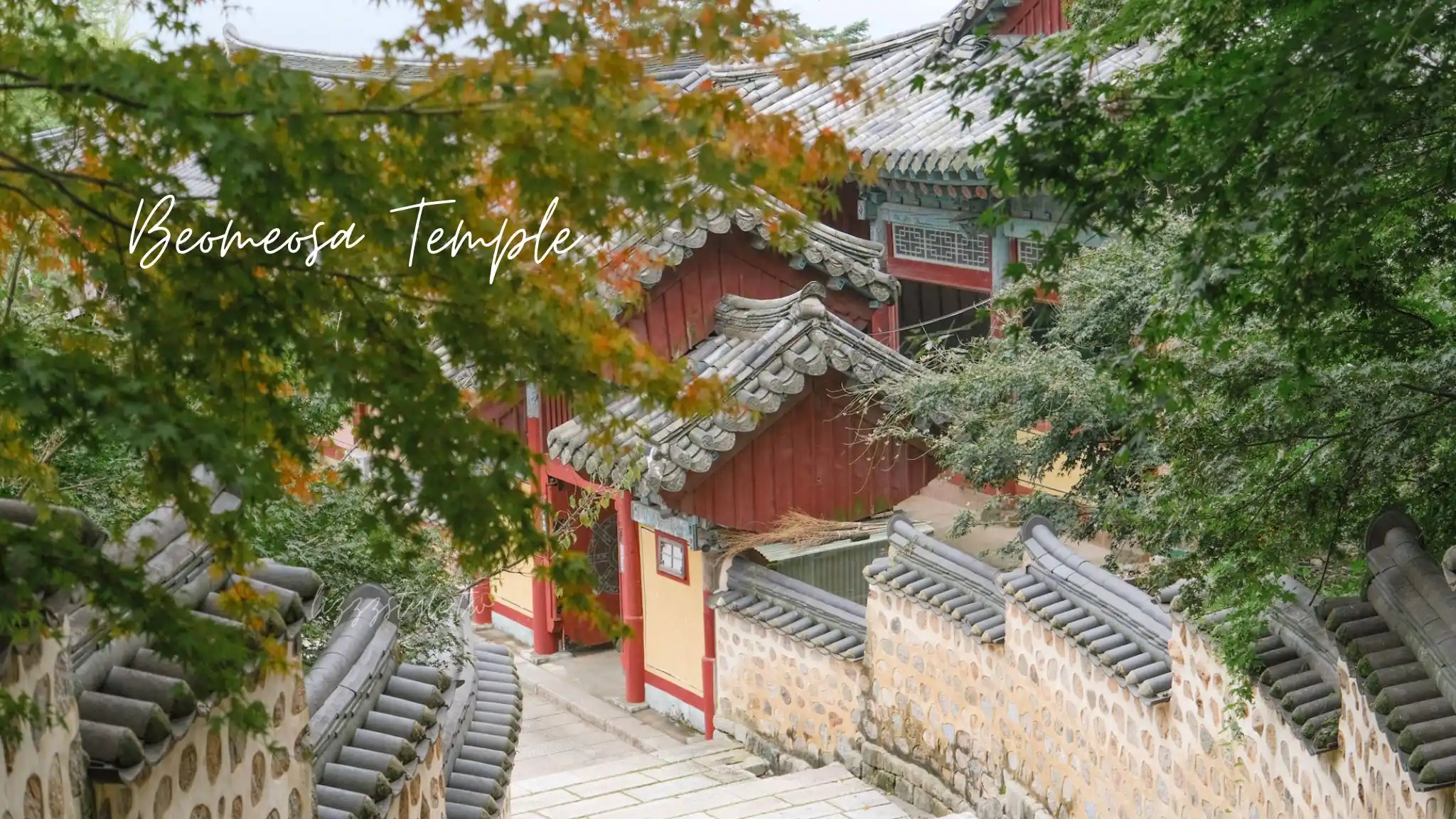 【梵魚寺一日遊攻略】最佳楓葉時間、停留建議＋手鍊購買與交通懶人包！