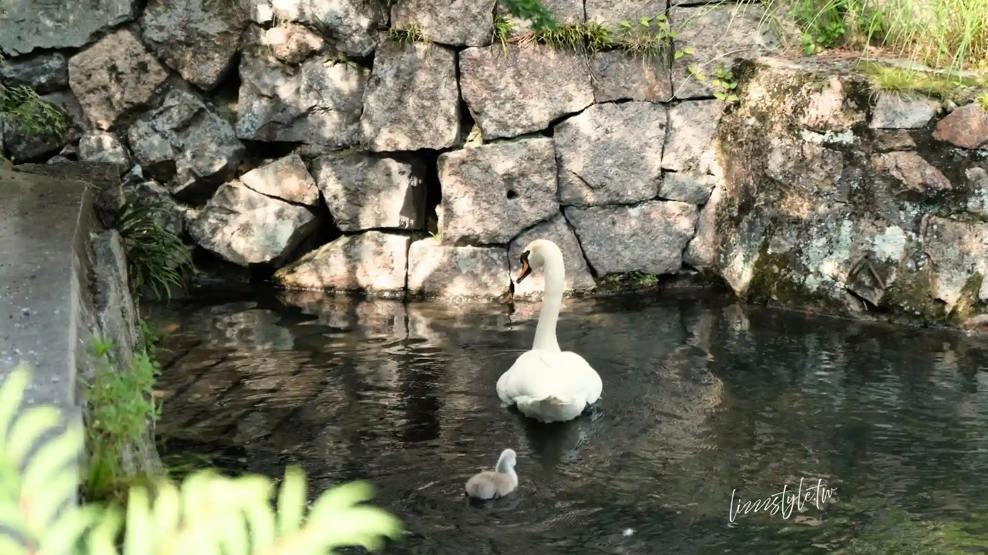 【倉敷美觀地區景點】2026一日遊必訪行程與美食，傳統街町散步、搭倉敷川遊船！