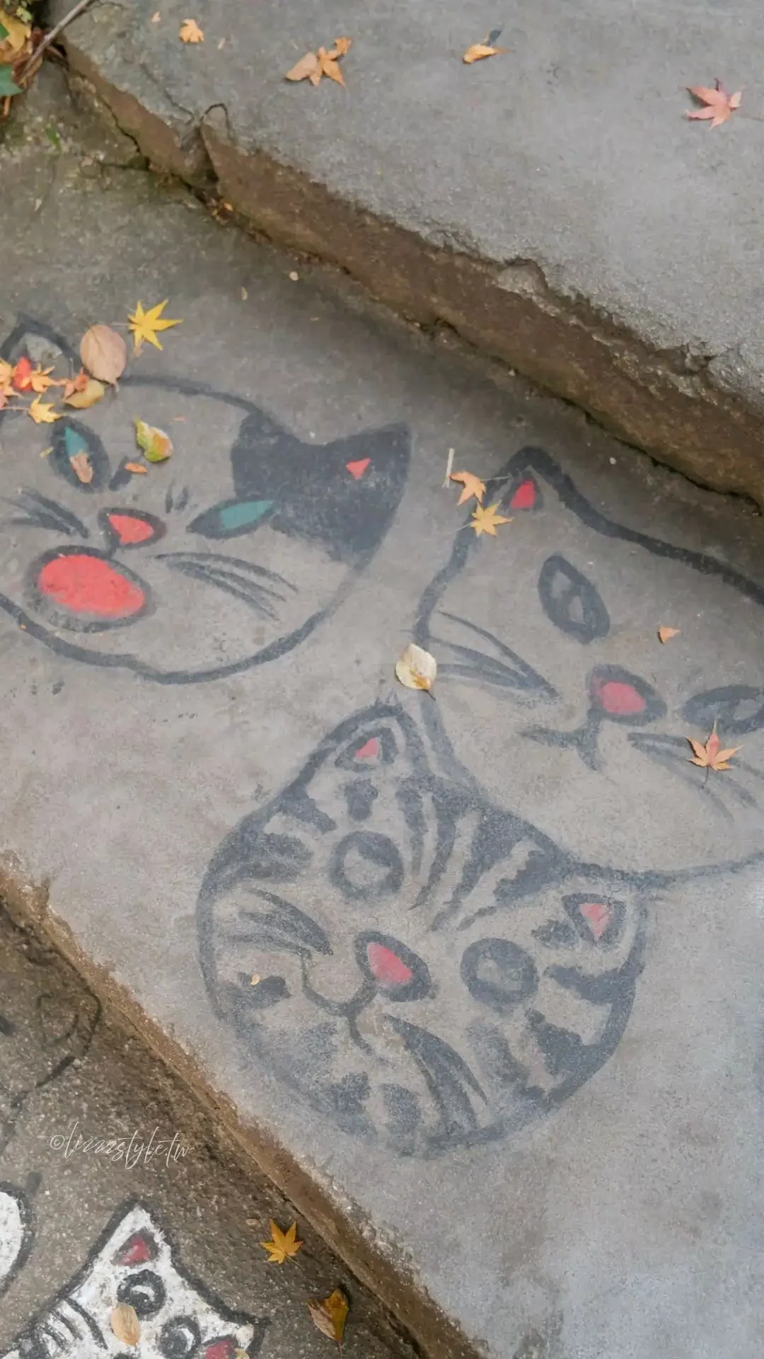 廣道尾道「貓之細道」真的有貓嗎？整條小徑都是貓咪元素！