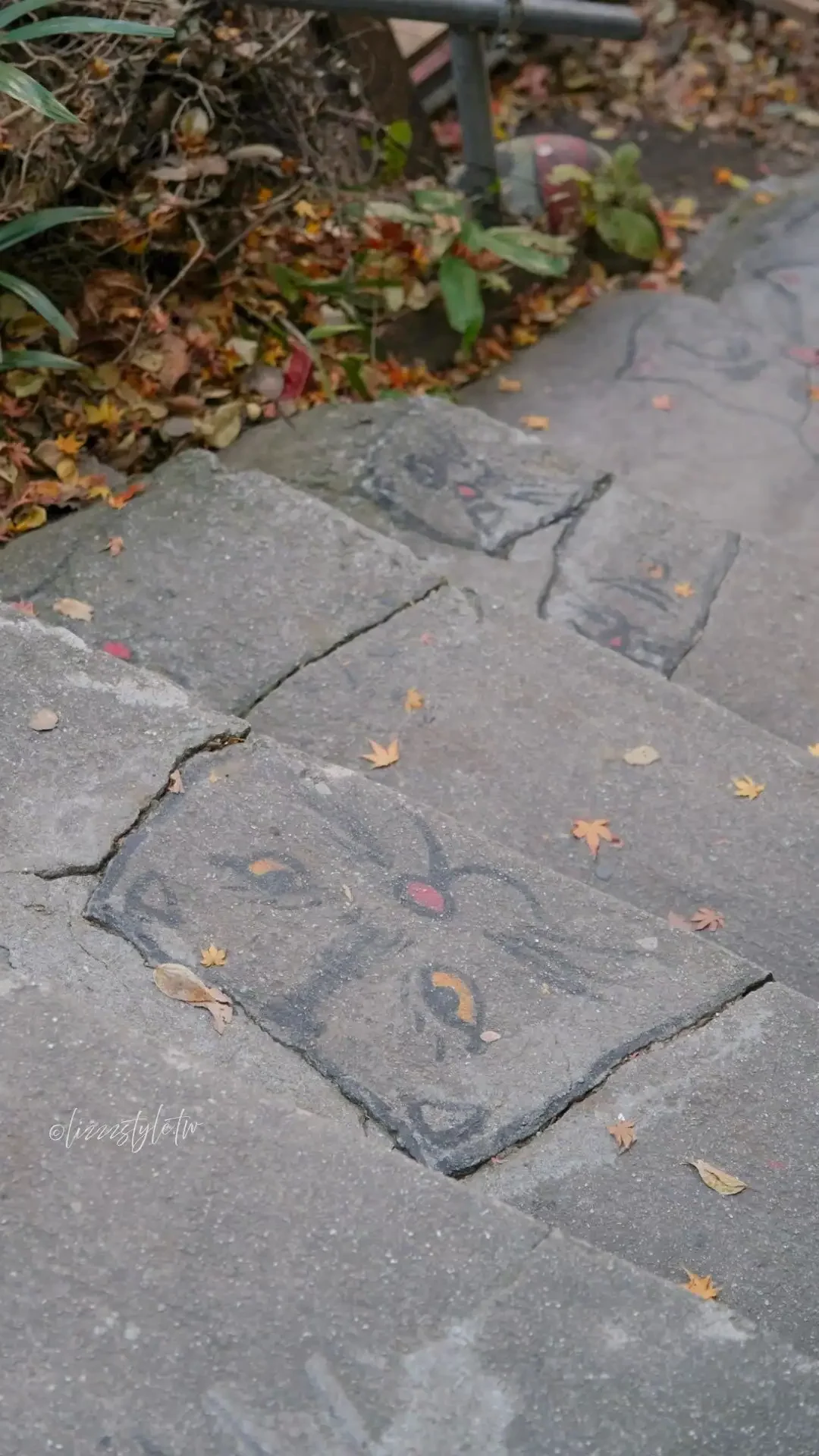 廣道尾道「貓之細道」真的有貓嗎？整條小徑都是貓咪元素！