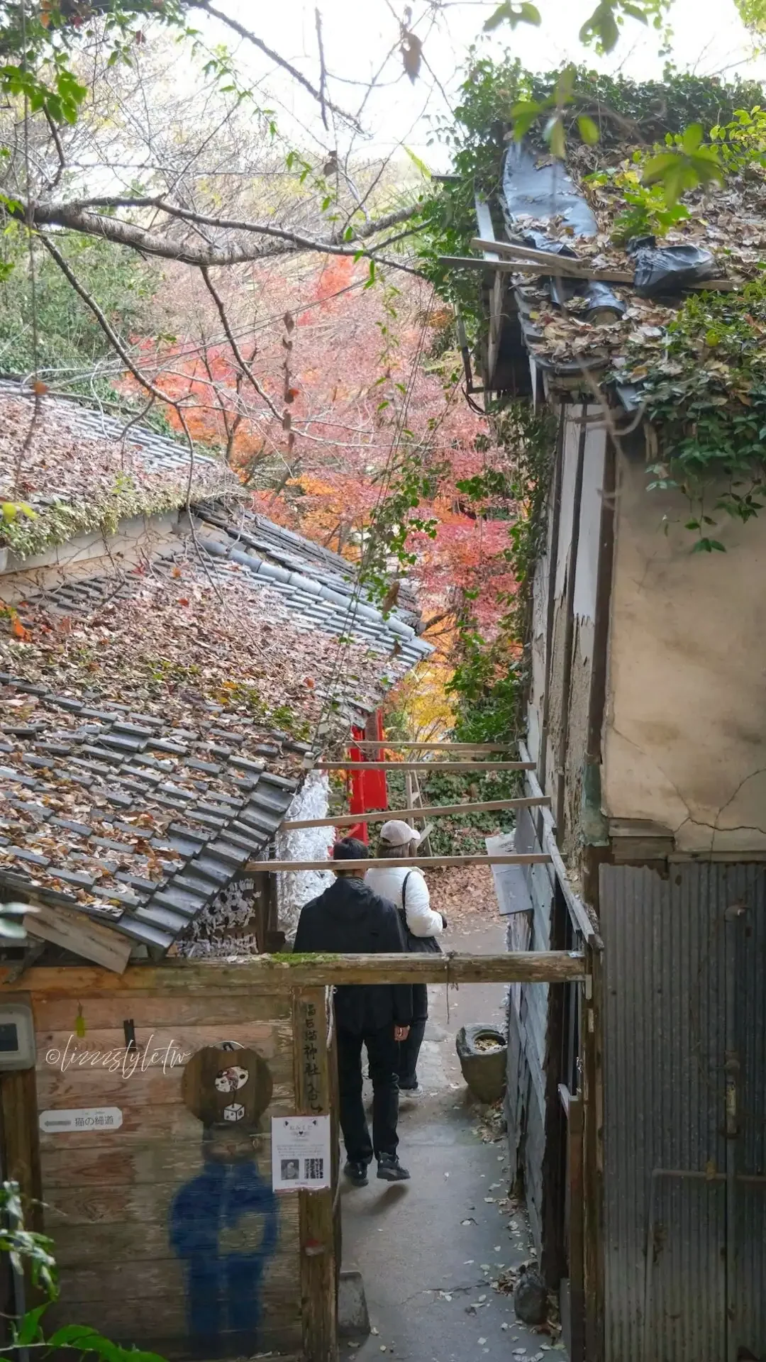 廣道尾道「貓之細道」真的有貓嗎？整條小徑都是貓咪元素！