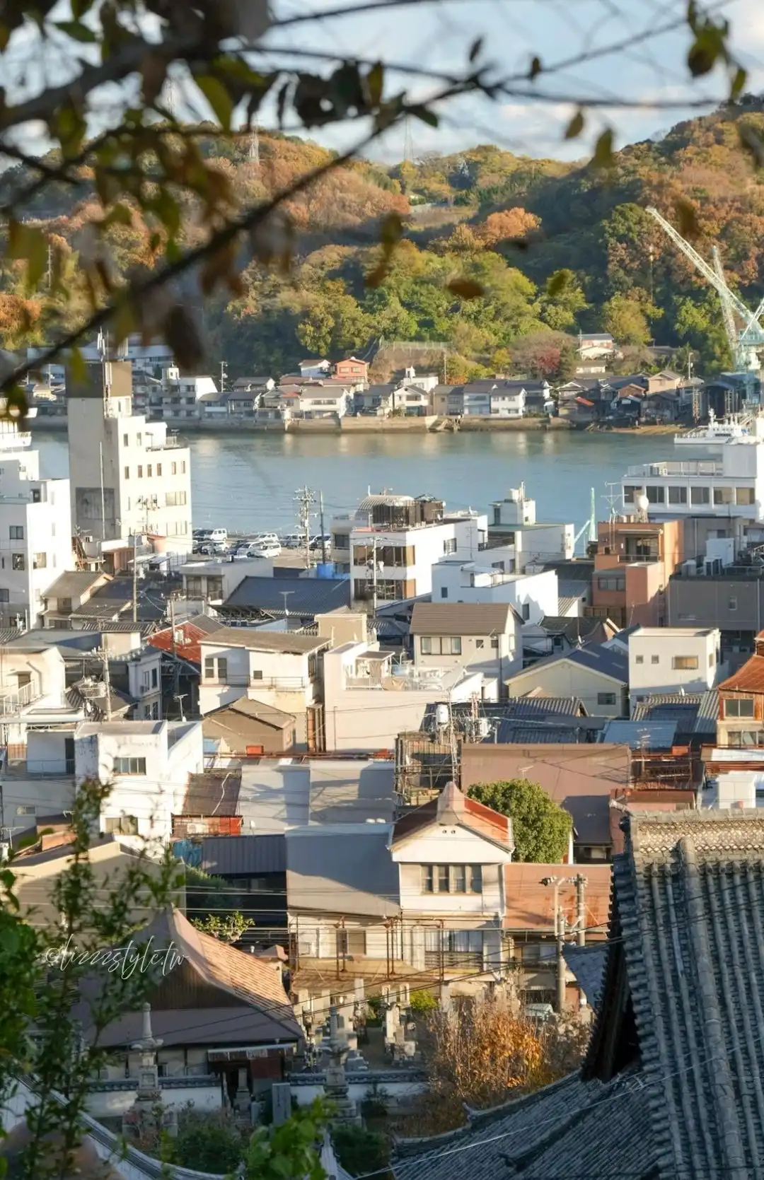 廣道尾道「貓之細道」真的有貓嗎？整條小徑都是貓咪元素！