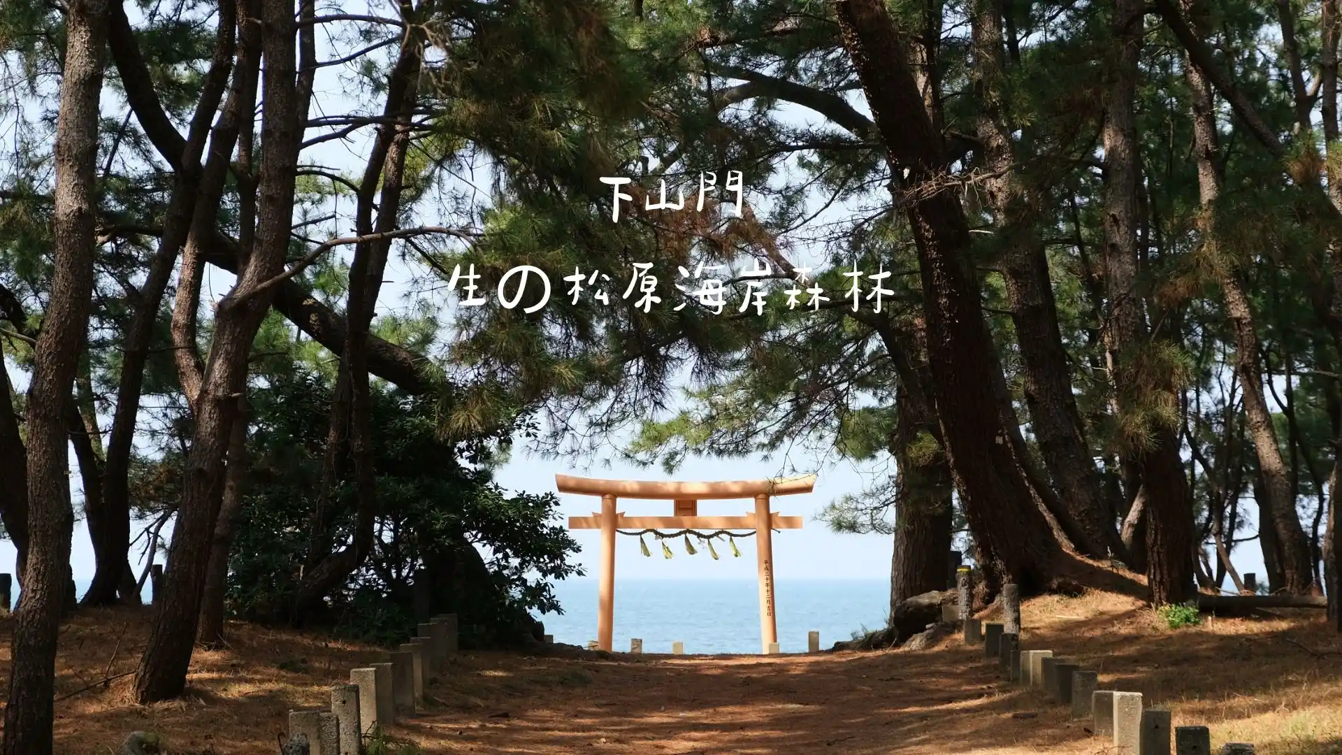 【福岡秘境景點】下山門生の松原海岸森林＋海邊鳥居，離車站僅4分鐘步行距離！