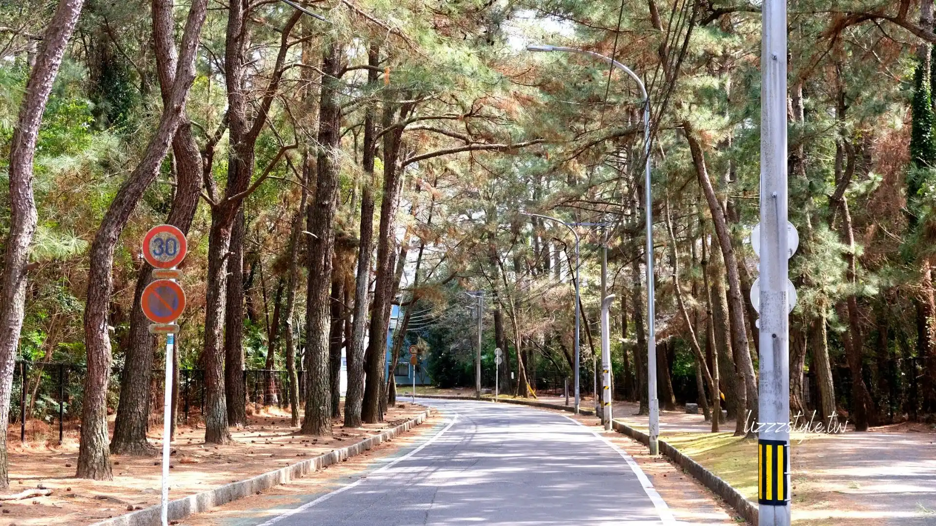 下山門海岸森林及壱岐神社鳥居