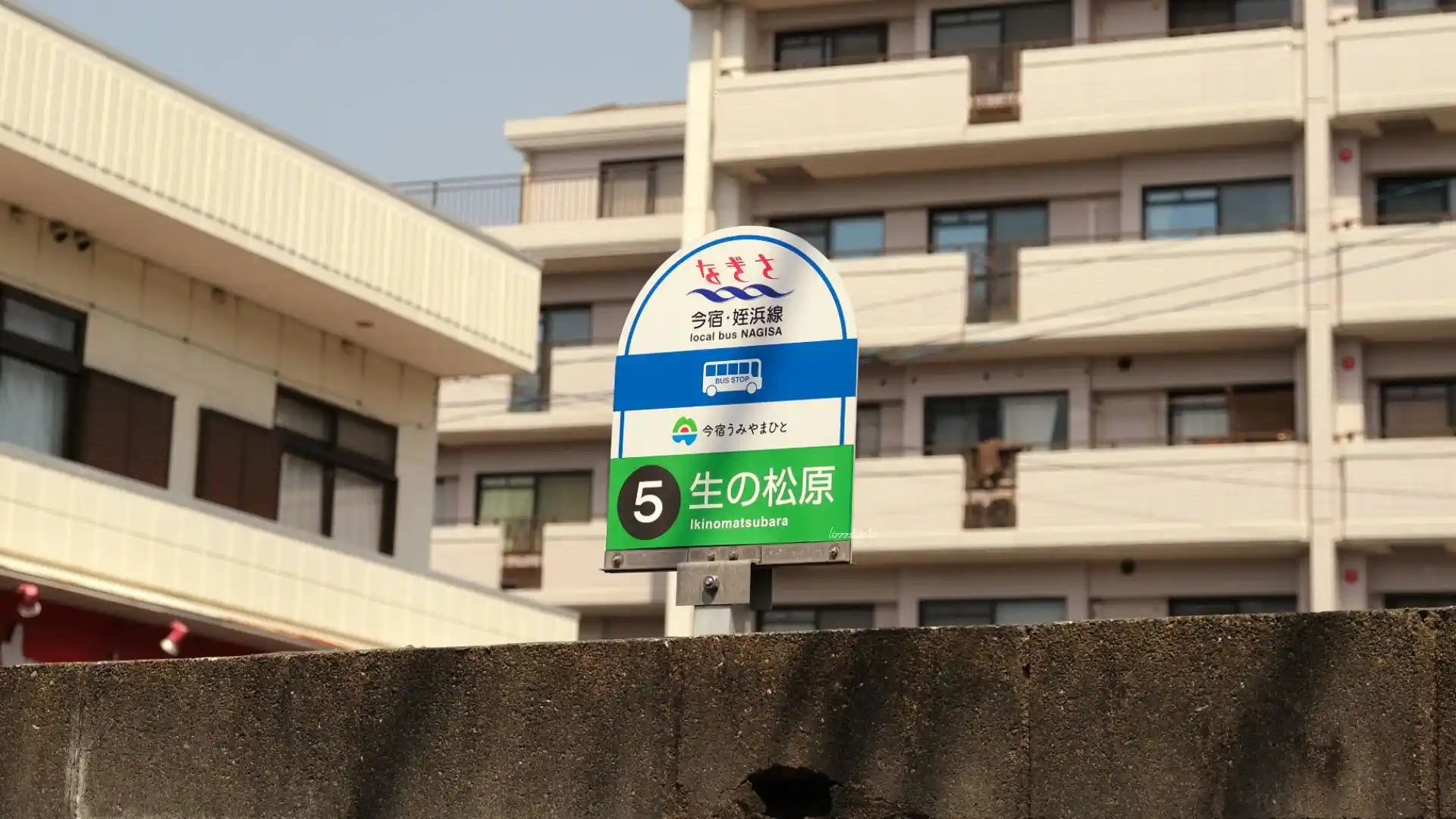 【福岡秘境景點】下山門生の松原海岸森林＋海邊鳥居，離車站僅4分鐘步行距離！