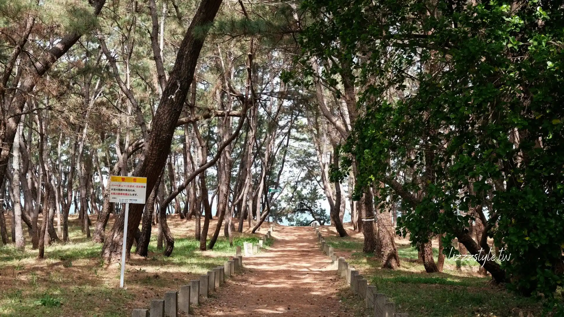 【福岡秘境景點】下山門生の松原海岸森林＋海邊鳥居，離車站僅4分鐘步行距離！