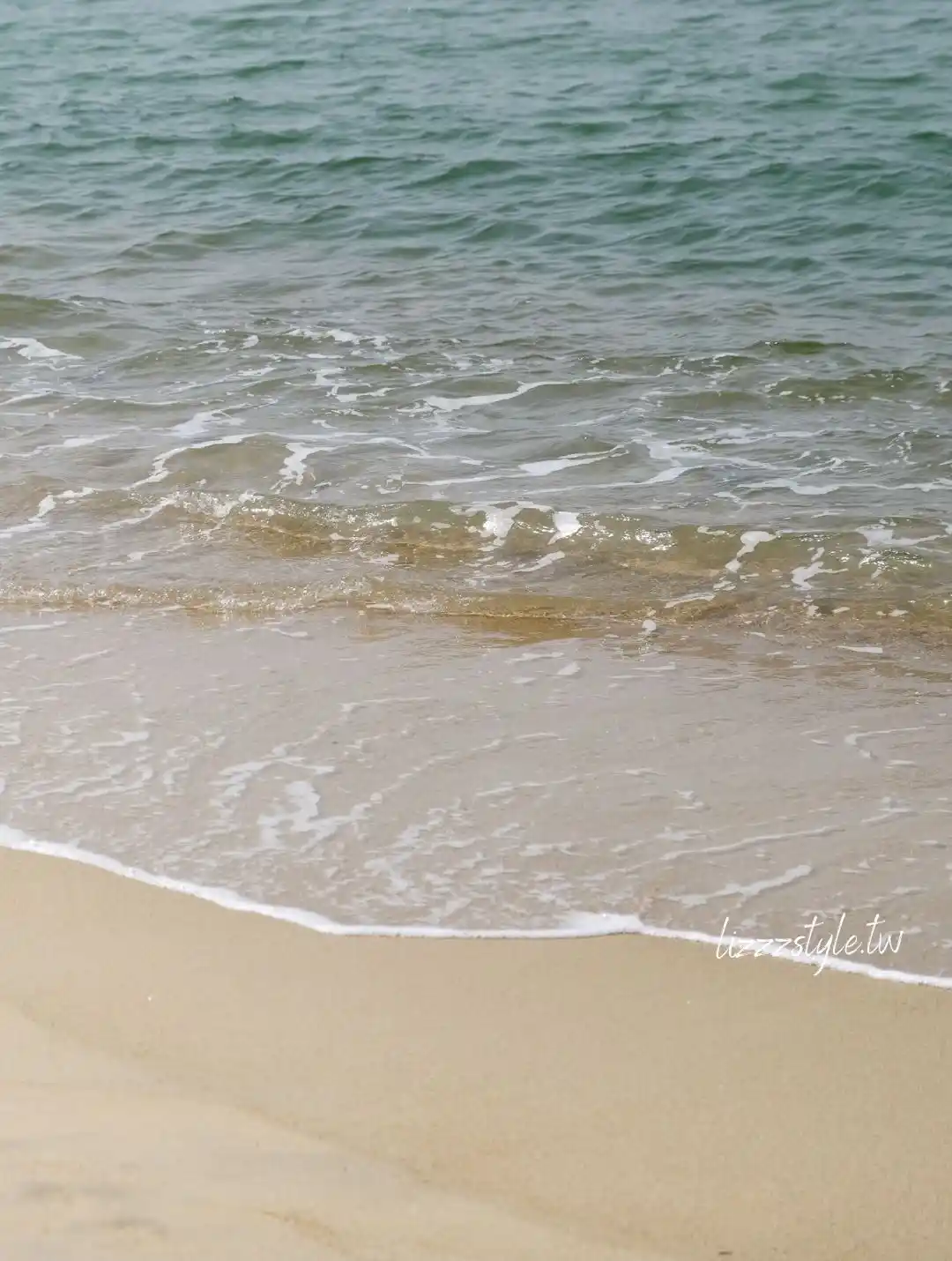 【福岡秘境景點】下山門生の松原海岸森林＋海邊鳥居，離車站僅4分鐘步行距離！