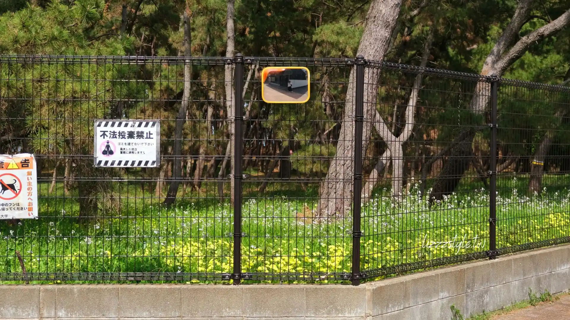 【福岡秘境景點】下山門生の松原海岸森林＋海邊鳥居，離車站僅4分鐘步行距離！