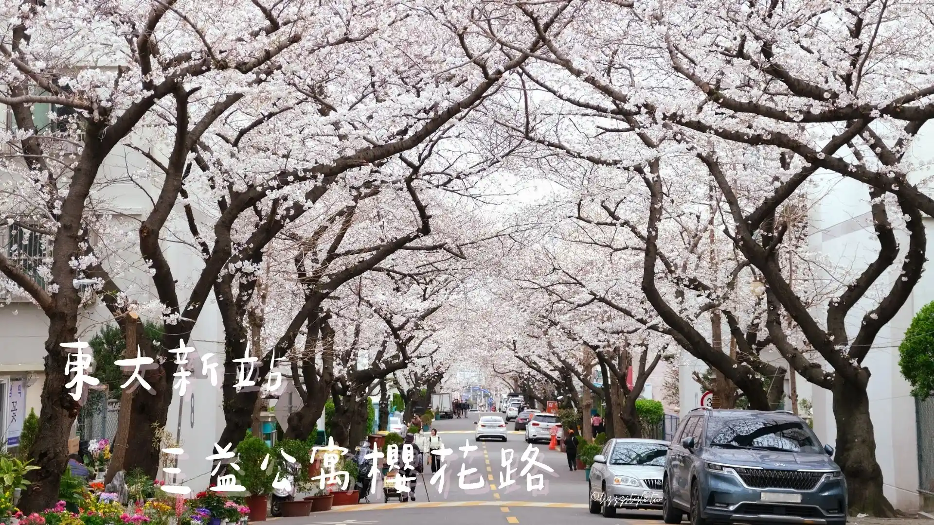 東大新站三益公寓櫻花路，前往希望單軌階梯的釜山賞櫻景點！