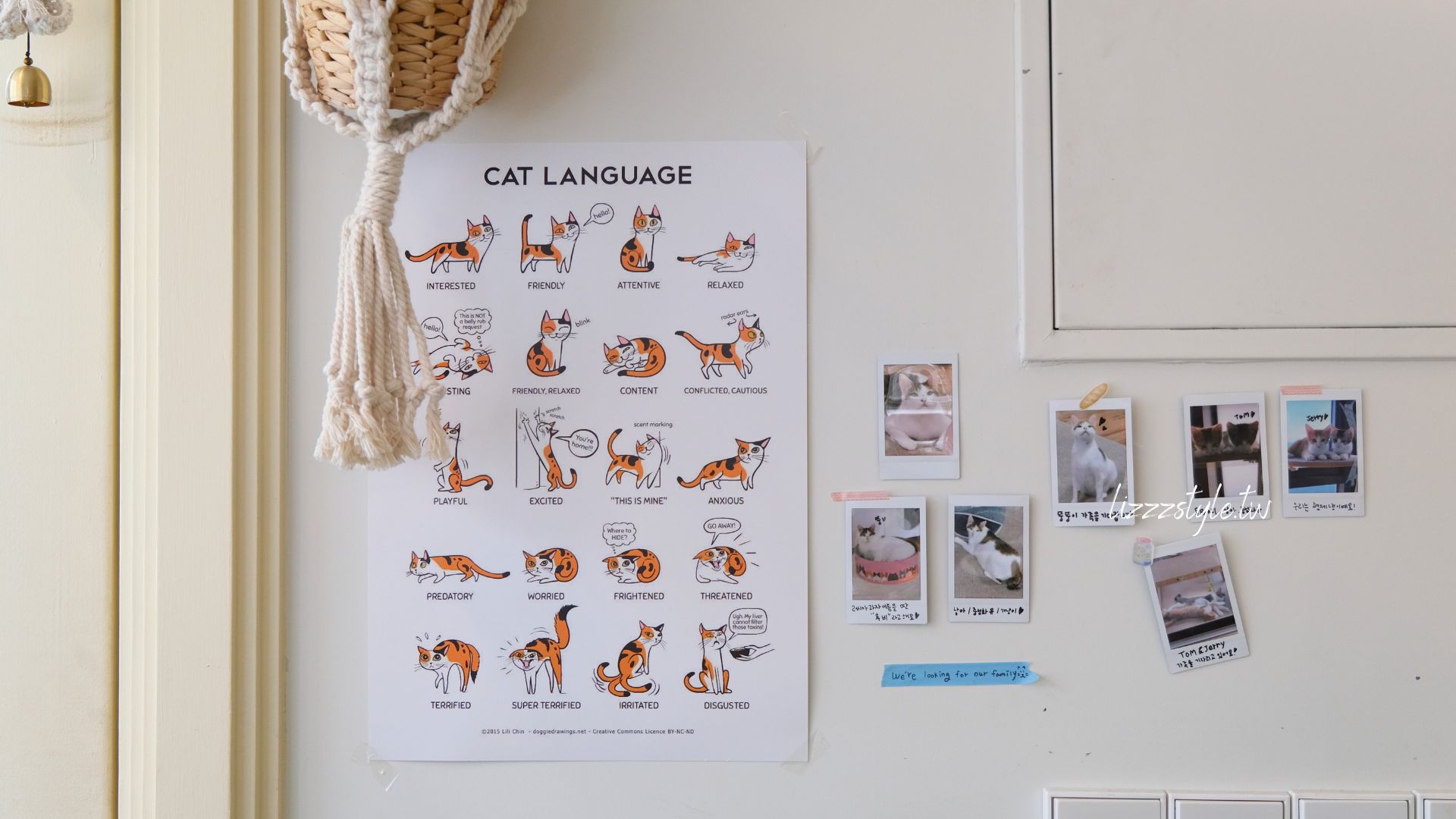 廣安里Cafe Come and See Me，一人悠閒享用巷弄間的法式早午餐！