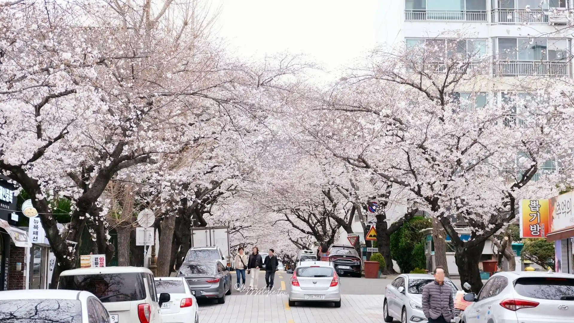 釜山櫻花景點推薦　東大新洞三益公寓櫻花路(동대신동 삼익아파트 벚꽃길)