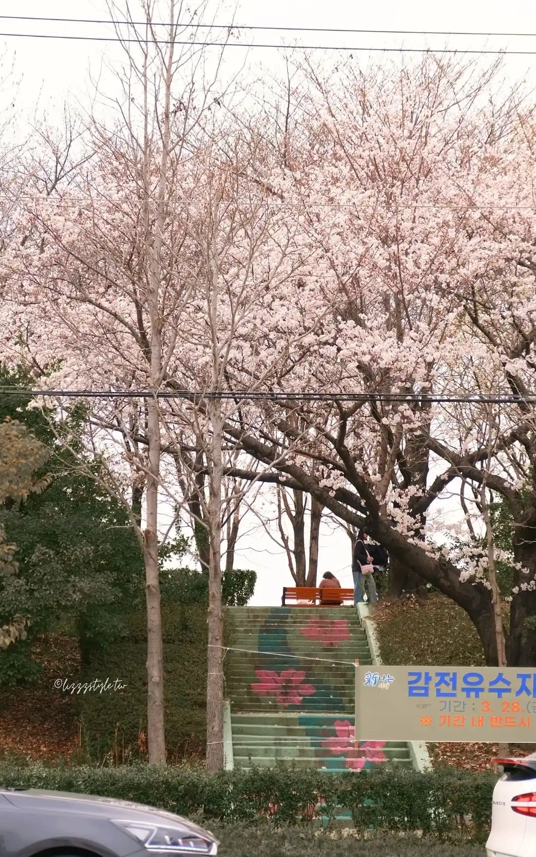 釜山三樂江邊公園櫻花路（삼락생태공원），沙上站附近的散步路線推薦！