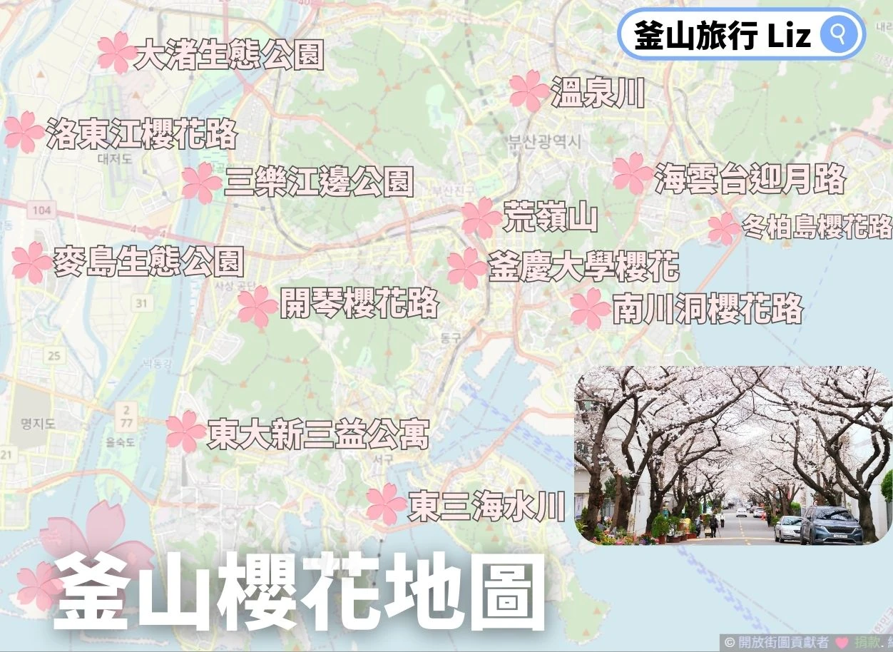 為了讓大家對於釜山櫻花景點更有概念，我整理了一份釜山櫻花景點分佈圖。從左側洛東江沿岸的公園，到右側海雲台、廣安里附近的熱門步道，這張地圖標示了釜山最值得一訪的櫻花聖地。建議大家在規劃行程時，可以依照所在的區域（如沙上區、海雲台區或影島區）來挑選鄰近的景點，省去交通往返的時間。