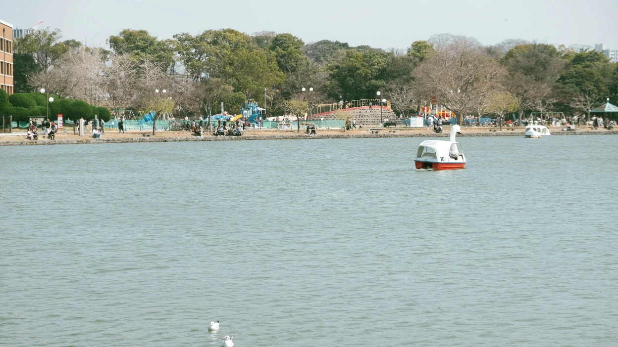【2026大濠公園散策】福岡市內免費景點，體驗划船、環湖步道與周邊景點（含天鵝船費用/交通）