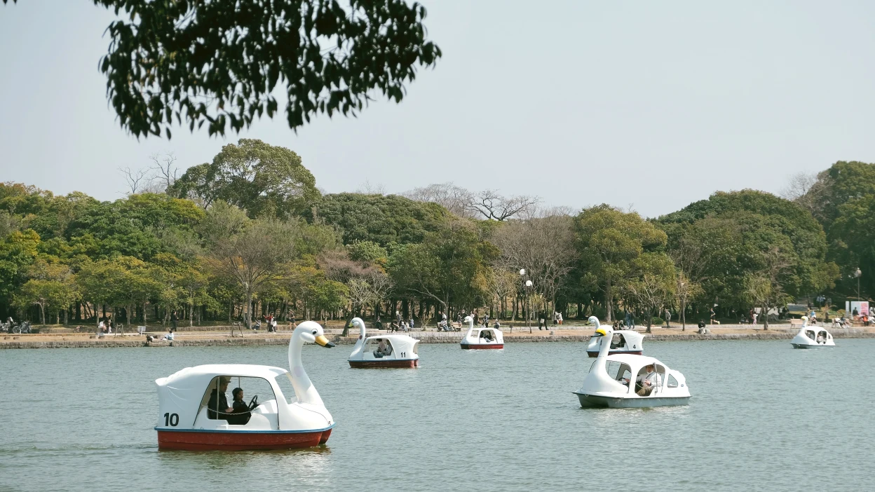 【2026大濠公園散策】福岡市內免費景點，體驗划船、環湖步道與周邊景點（含天鵝船費用/交通）